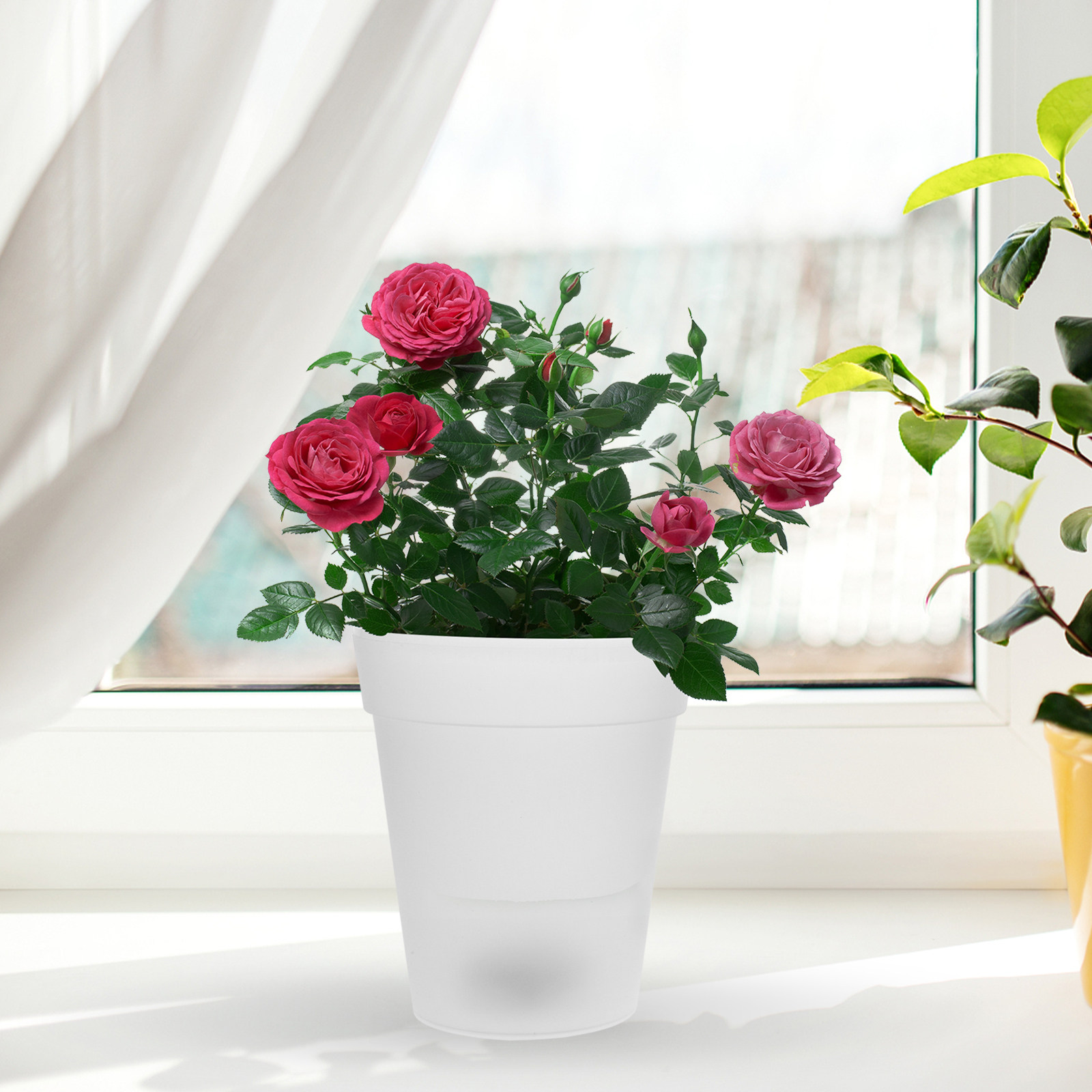 Christmas Lights Outdoor - Flowerpot Solar Light Outdoor Decorative Lamp