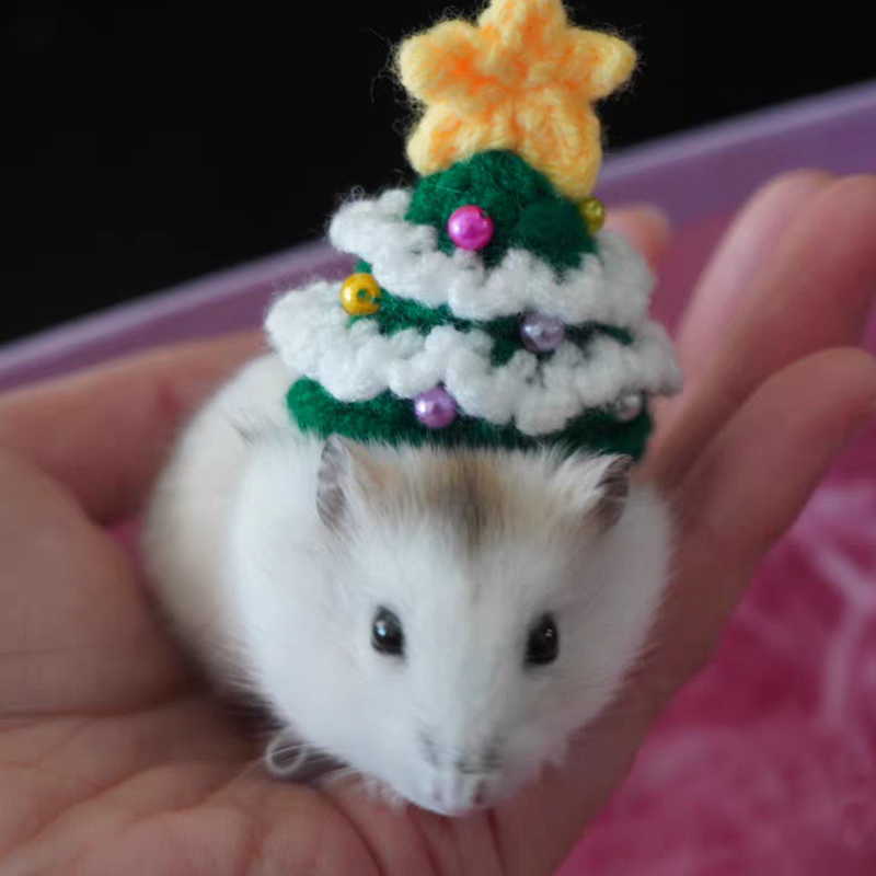 Hand Woven Pet Christmas Hat D - Santa Hat Plush ulasan dan harga